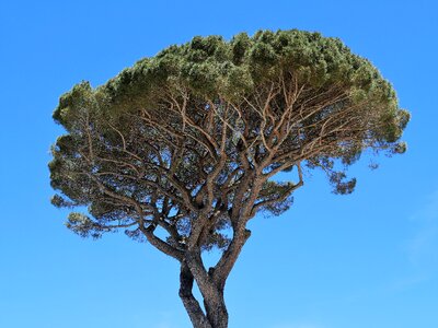 Italy mediterranean nature