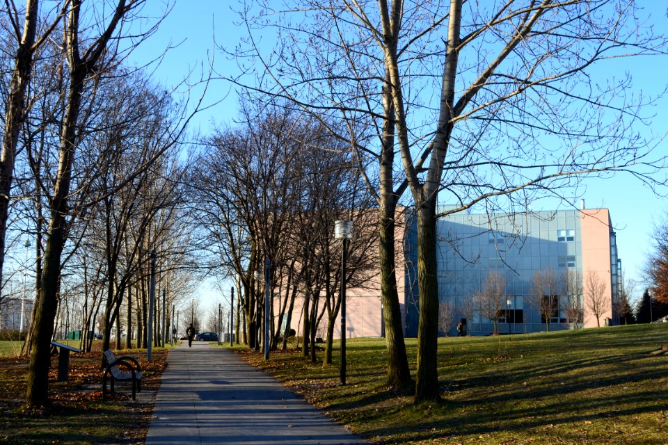 RichmondHillPublicLibrary5