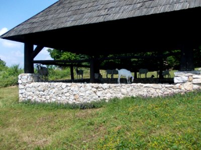 Rifnik Archeological Site 44
