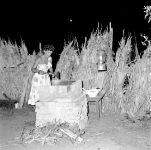 Rietje Roelofs aan het barbecuen, Bestanddeelnr 252-2702