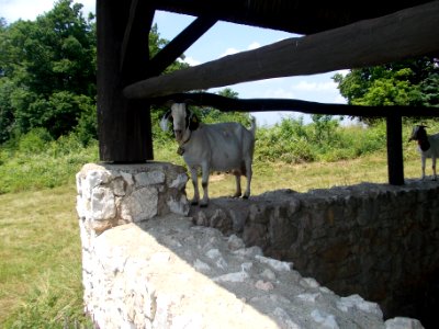 Rifnik Archeological Site 45