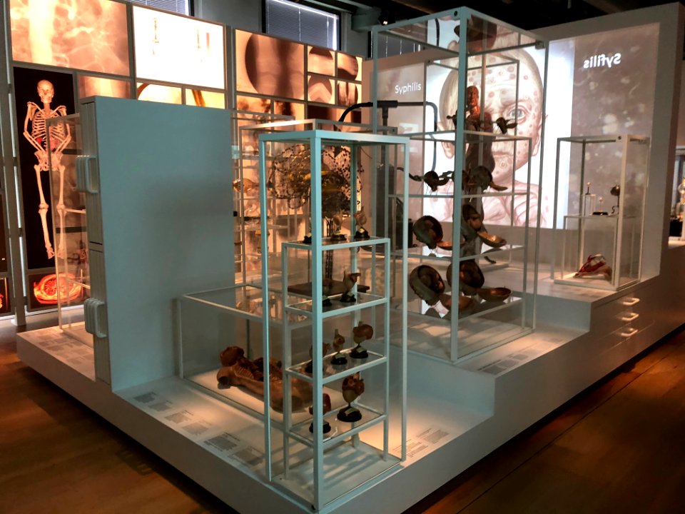 Rijksmuseum Boerhaave in 2019 foto 51