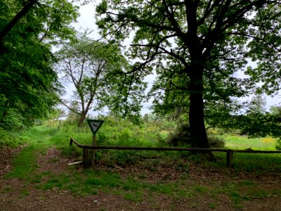 Riedelbacher Heide (1)