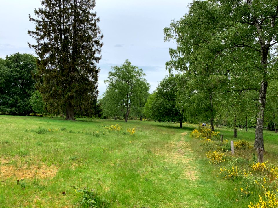 Riedelbacher Heide (10)