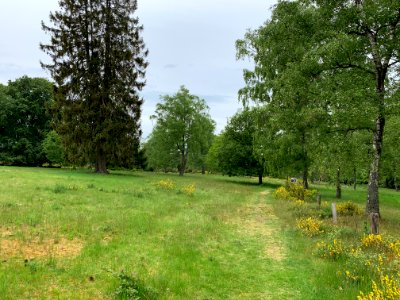 Riedelbacher Heide (10)