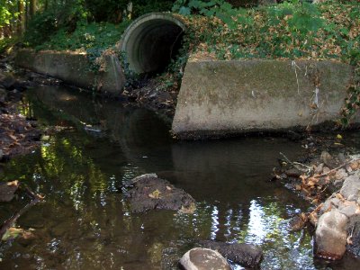 Riedgraben Einmündung in Seebach