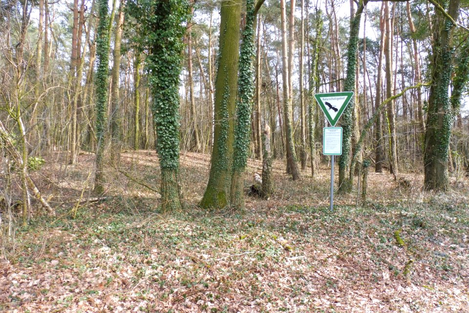 Riege - Rixelbruch - 5