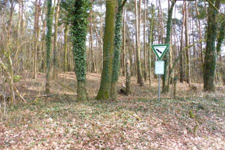 Riege - Rixelbruch - 5
