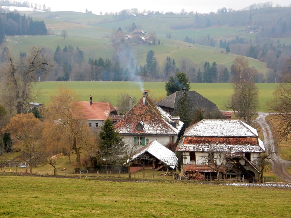 Riedburg Landsitz Mittelhäusern von oben