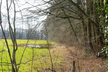 Riege - Rixelbruch - 1