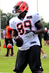Richard Quinn (American football) 2013
