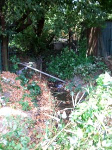 Riedgraben Grenze Garten- zu Sportplatzgelände