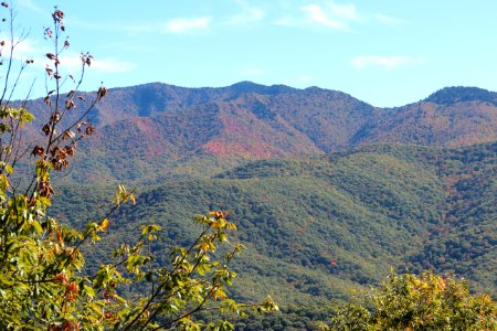 Richland Balsam and Lone Bald from Steestachee Bald Overlook