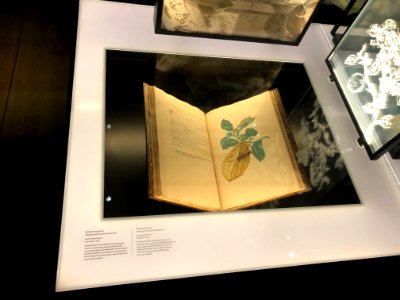 Rijksmuseum Boerhaave in 2019 foto 70