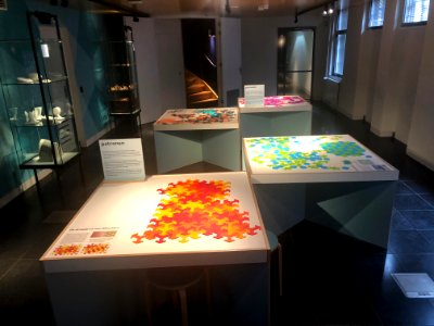 Rijksmuseum Boerhaave in 2019 foto 04