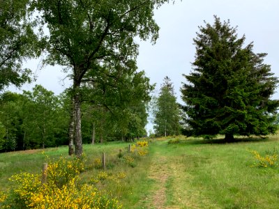 Riedelbacher Heide (12)