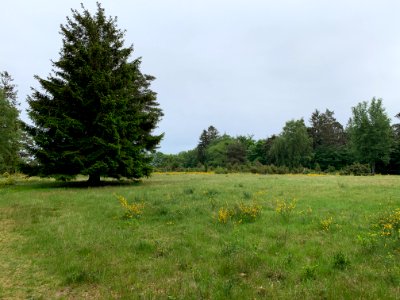Riedelbacher Heide (11)