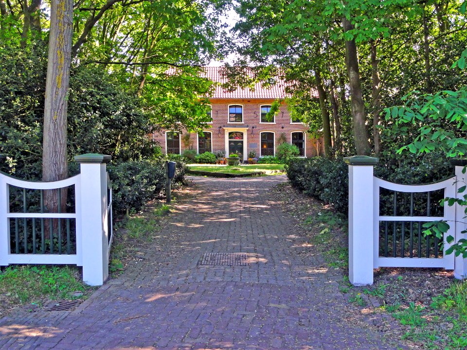 Rijsbergen Schiermonnikoog