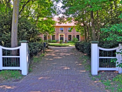 Rijsbergen Schiermonnikoog
