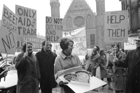 Rietsuikeractie 1968 de demonstranten op het Binnenhof, Bestanddeelnr 921-9092