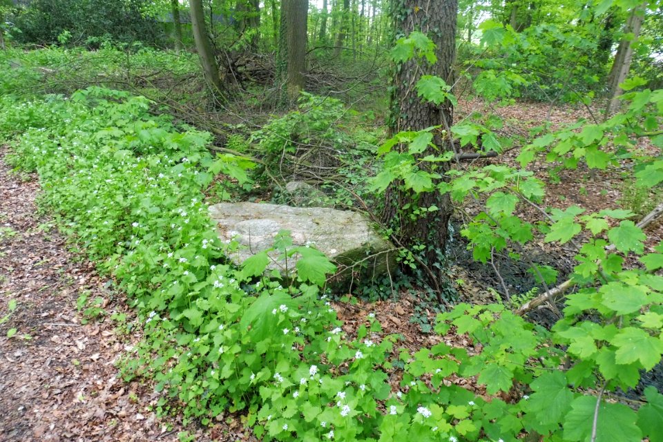 Riege - Ramselhöfe - Findling