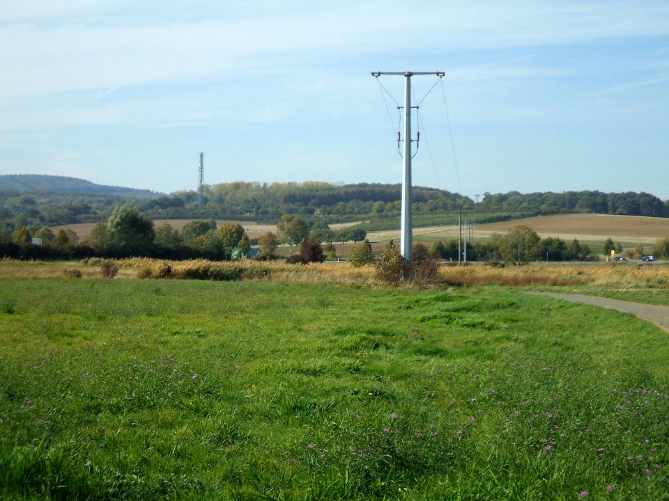 Riedgraben Blick Ockstädter Ried