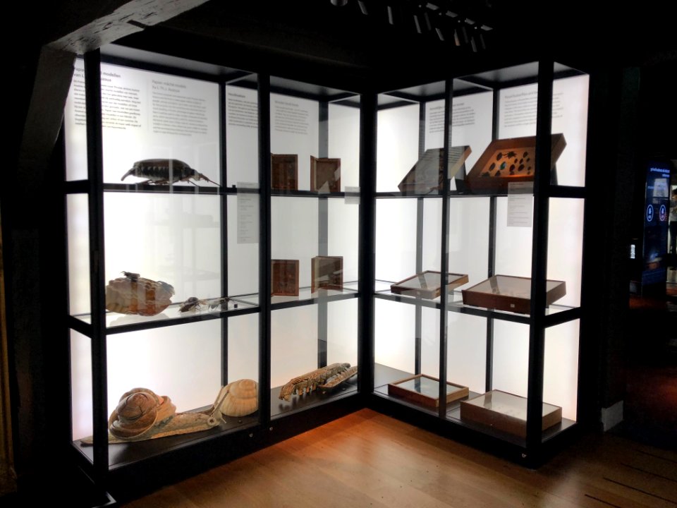 Rijksmuseum Boerhaave in 2019 foto 38