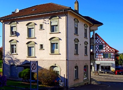 RiedtEckhausBack