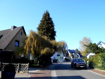Rickelstraße