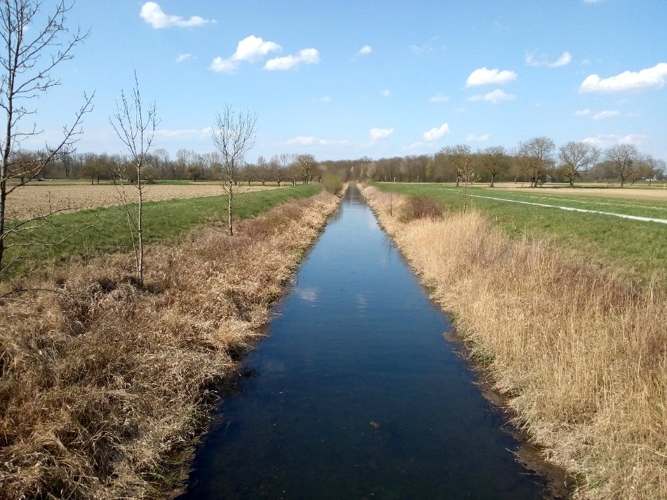 Riedkanal, bei Steinmauern