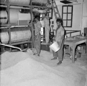 Rijstfabriek in Suriname, Bestanddeelnr 252-2420
