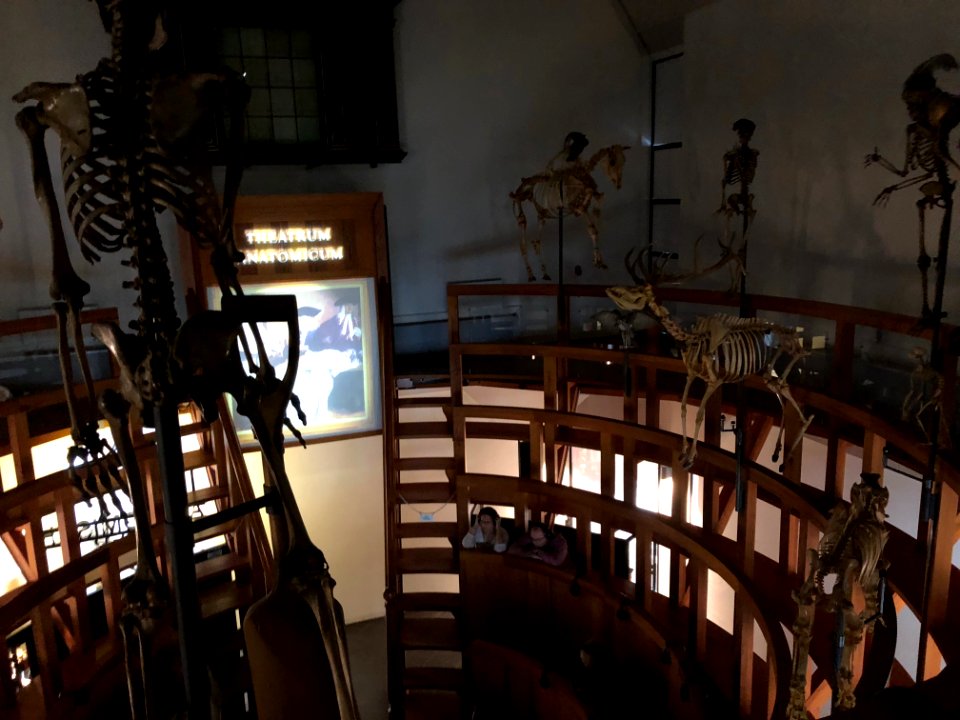 Rijksmuseum Boerhaave in 2019 foto 81