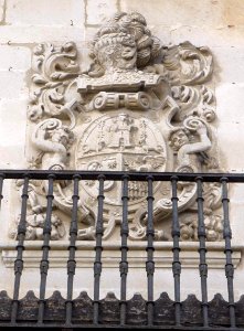 Salvatierra - Escudo heráldico 1