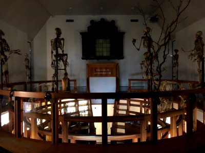 Rijksmuseum Boerhaave in 2019 foto 84