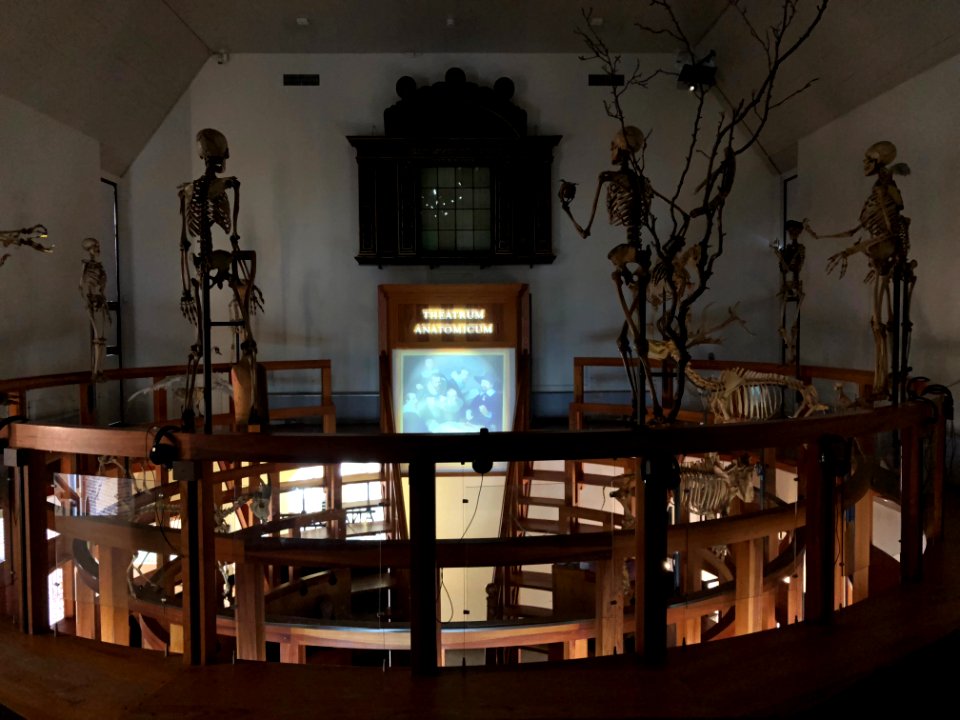 Rijksmuseum Boerhaave in 2019 foto 82