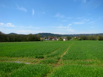 Riebling (Berg NM) (2)