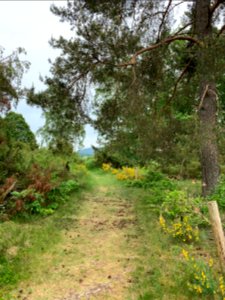 Riedelbacher Heide (4)