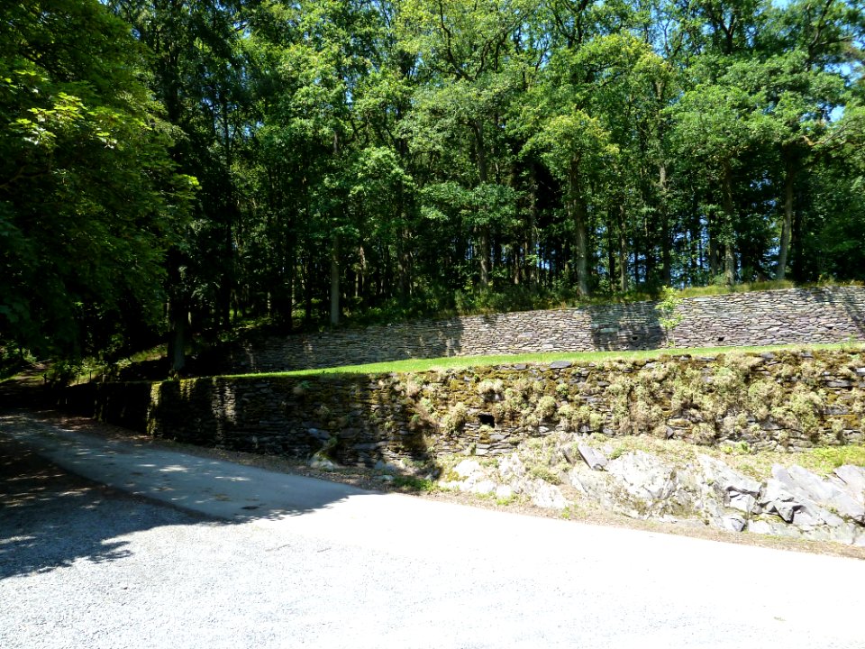 Salmchâteau-Château des Comtes de Salm (3)