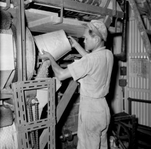 Rijstfabriek in Suriname, Bestanddeelnr 252-2423