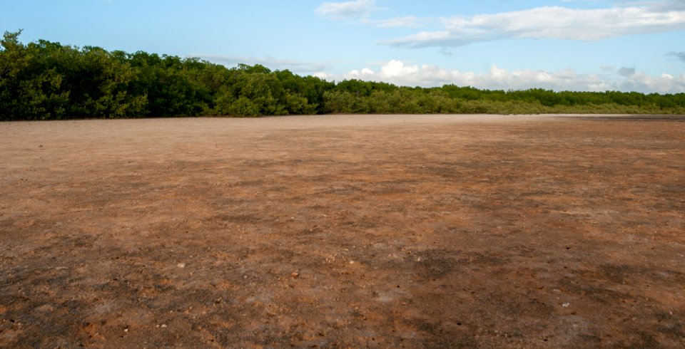 Saline in La Restinga Lagoon, Margarita island