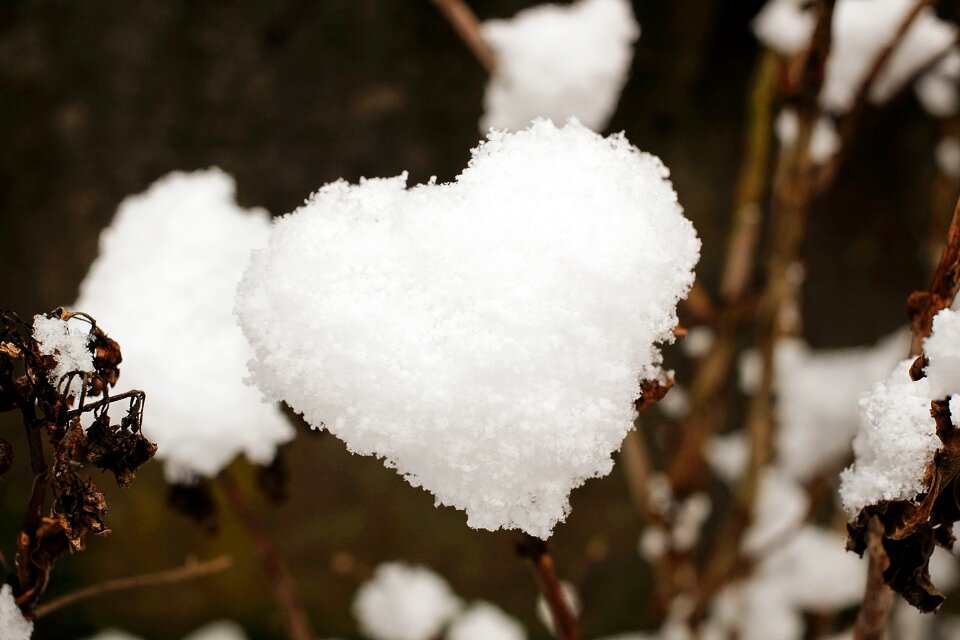 Snow heart love affection