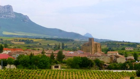 Samaniego 32