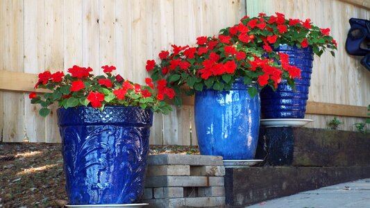 Blue pots pottery photo