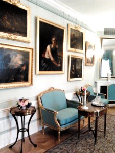 Salon of the Tin-Roofed Palace