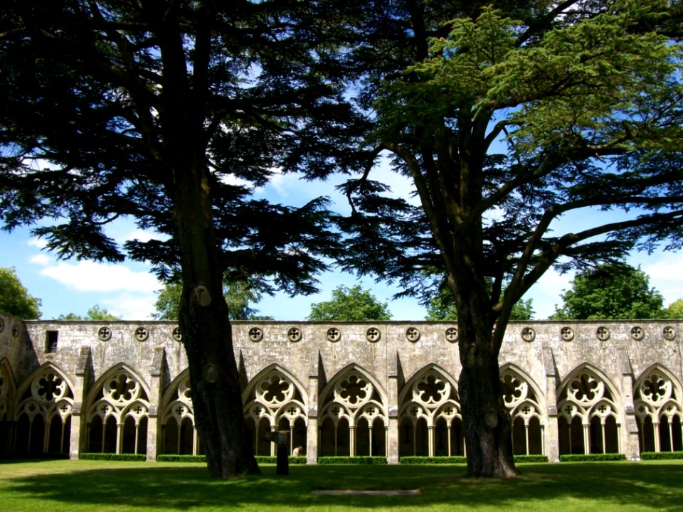 Salisbury Cathedral- cloister garth