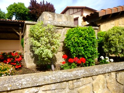 Samaniego 20