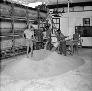 Rijstfabriek in Suriname, Bestanddeelnr 252-2425