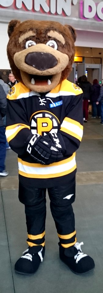 Samboni - Providence Bruins mascot
