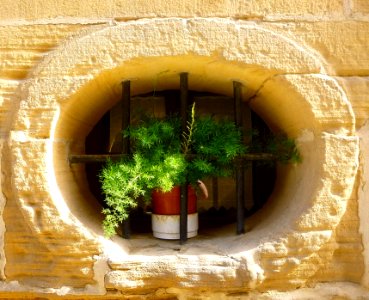 Samaniego - Ventana 05