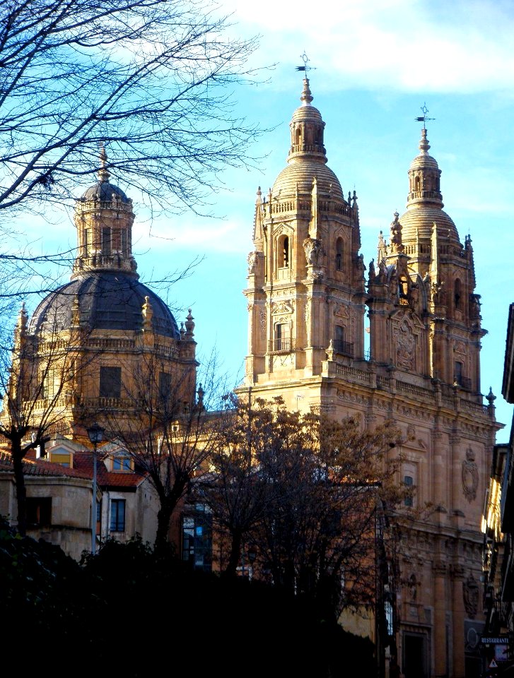 Salamanca - Clerecia 03